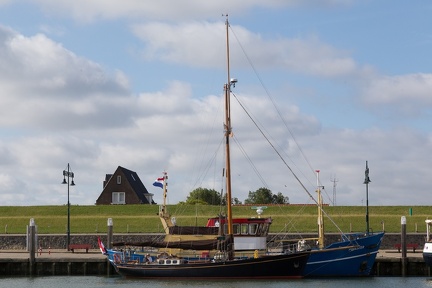 texel-1003