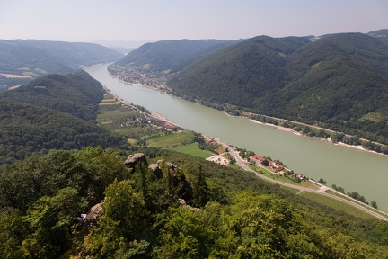 wachau2013-1022